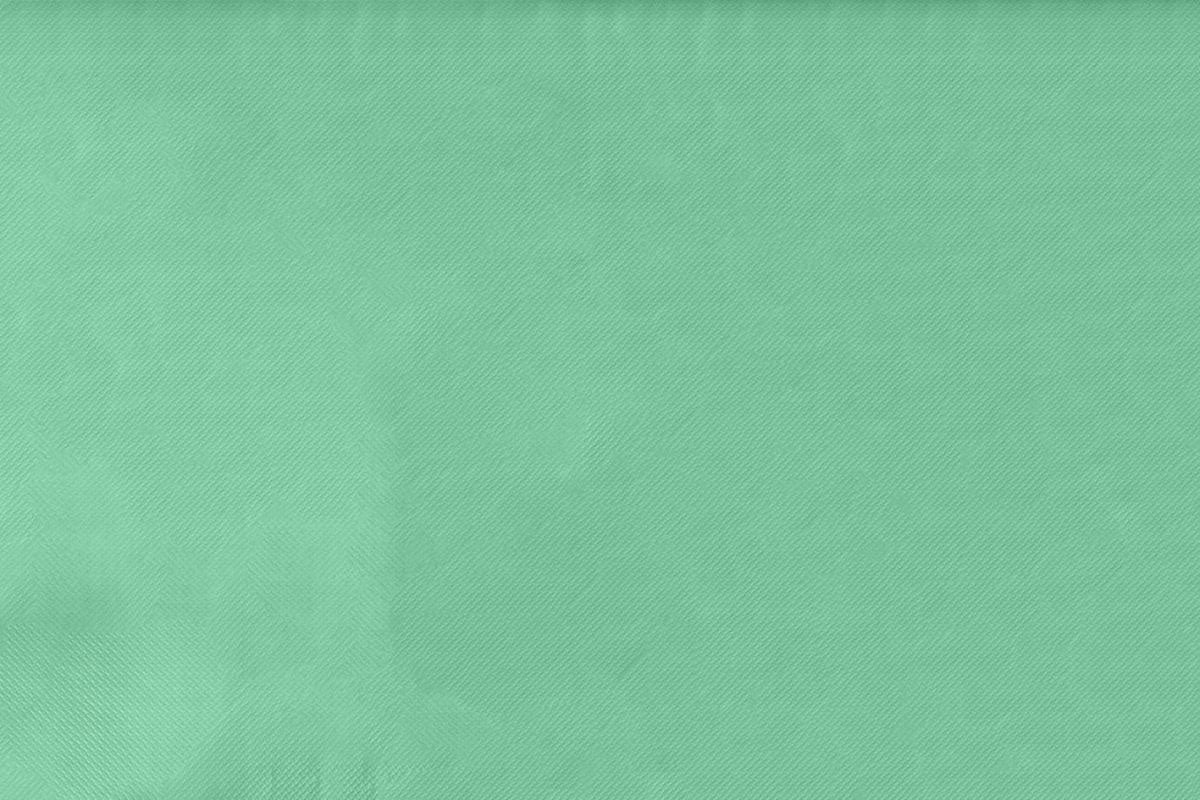 Algon Tablecloth Disposable Green Roll 1m x 10m