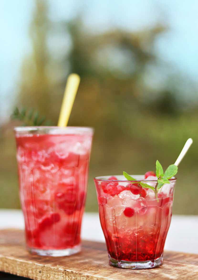 Picardie Clear drinking glasses 250ml tumblers