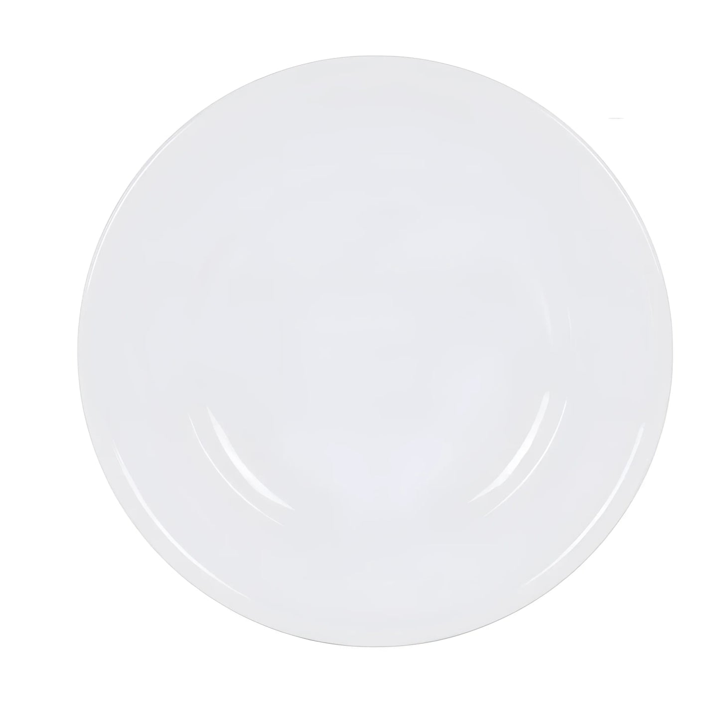 Olympia white porcelain Dinner plate 31cm Large Main course Steak Plate oven safe Viejo Valle