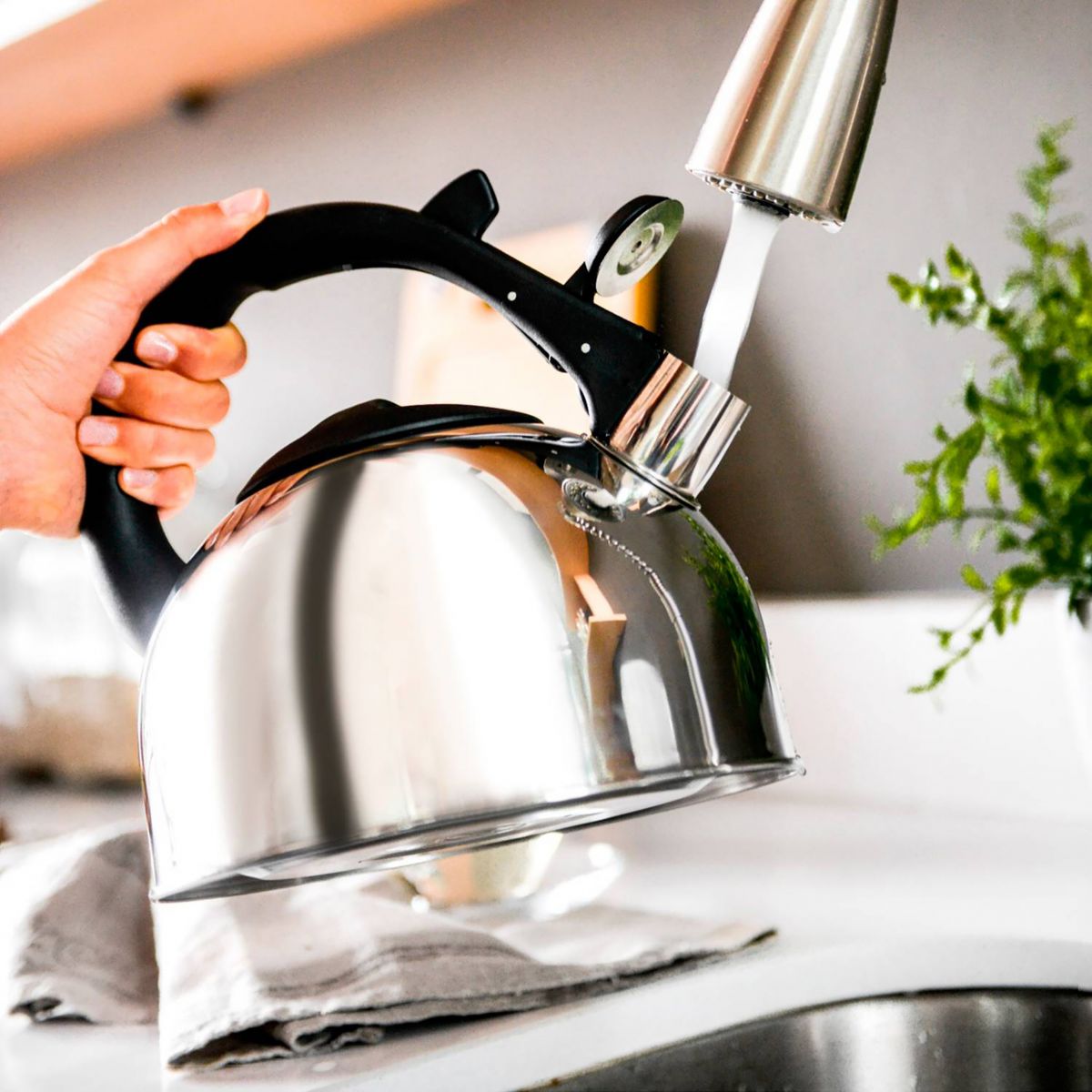 Stainless steel whistling tea kettle being filled with water on induction stove