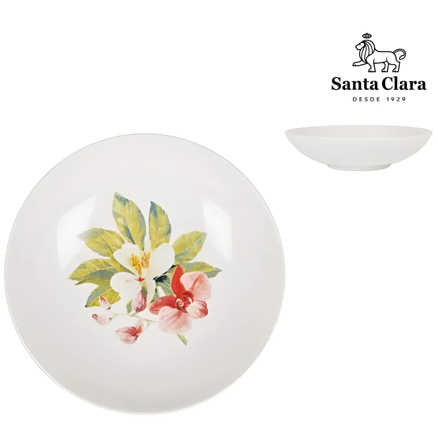 4x SANTA CLARA Stoneware pasta bowls TROPICAL