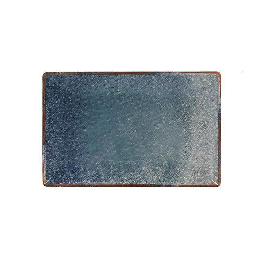 Albal 30x20cm rectangular Dinner plate