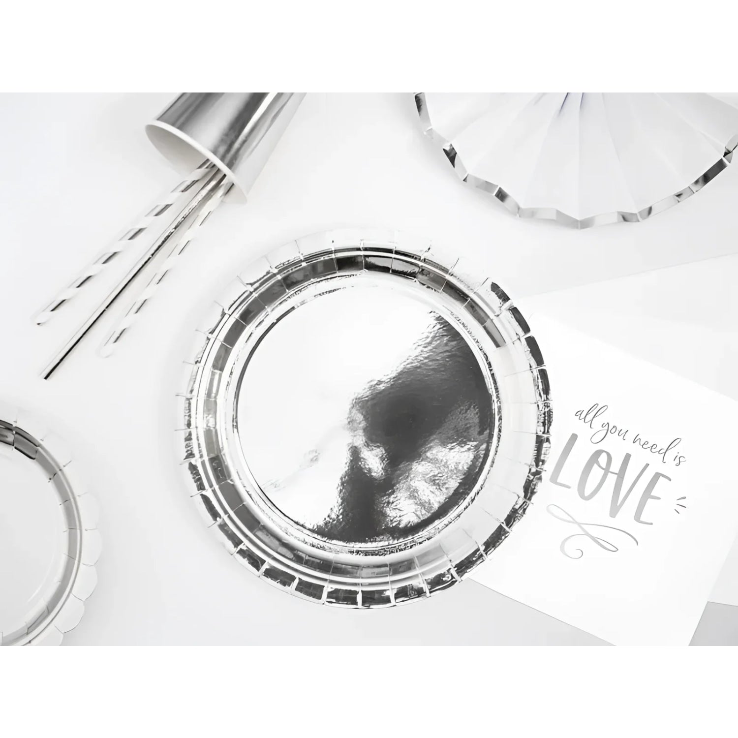 Algon Plates Disposable Biodegradable Silver paper party take away Pack of 10
