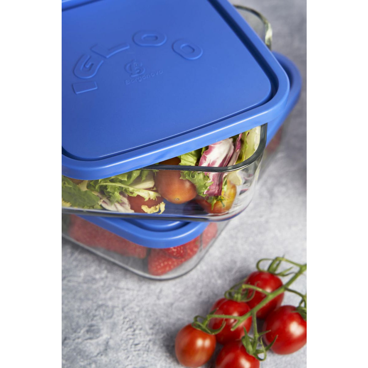 Borgonovo Igloo 2.3L rectangular glass container with blue lid