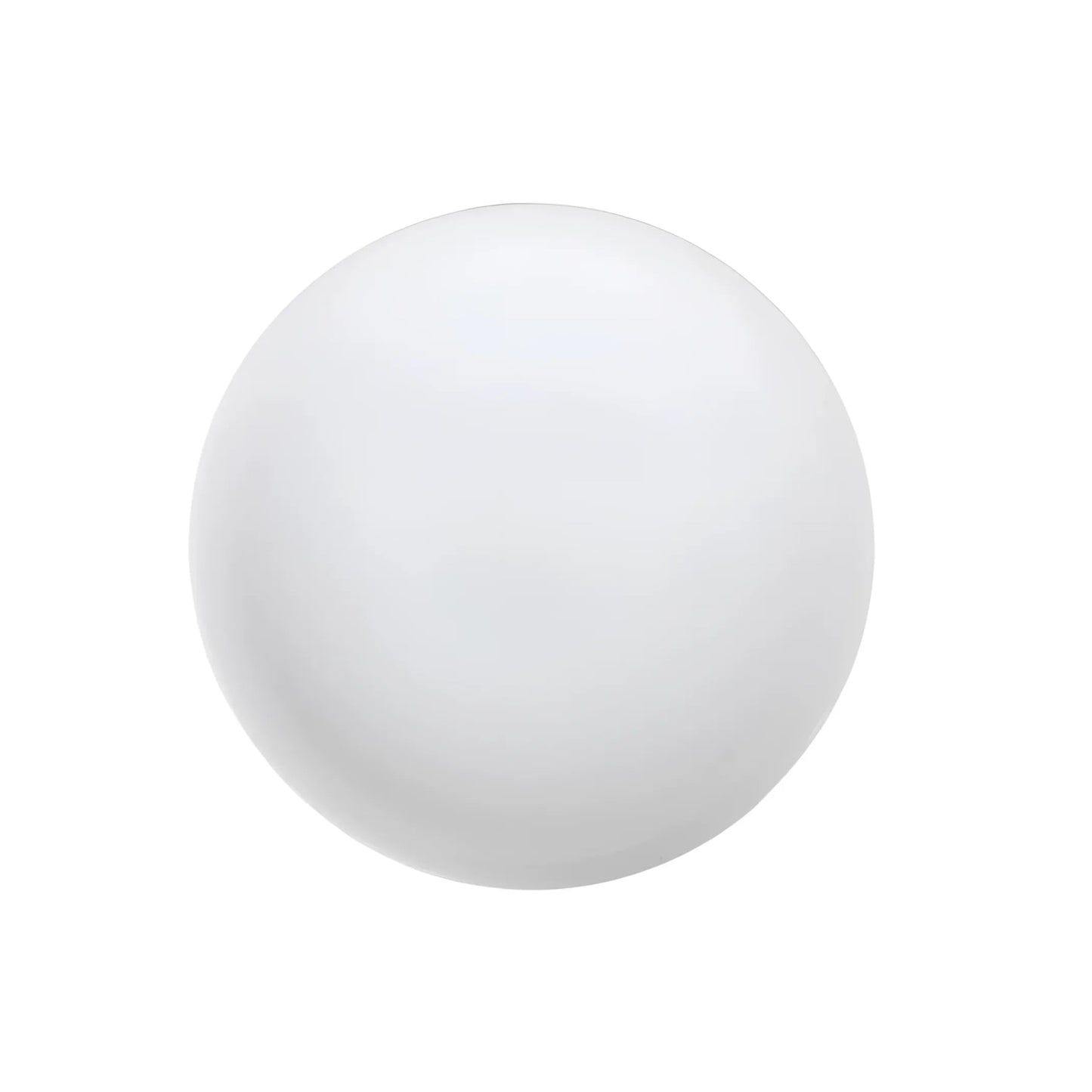 Mobius 25cm Dinner plates White round vitrified White porcelain