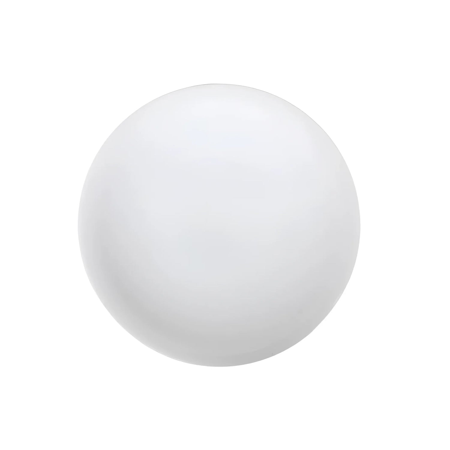 Mobius 25cm Dinner plates White round vitrified White porcelain